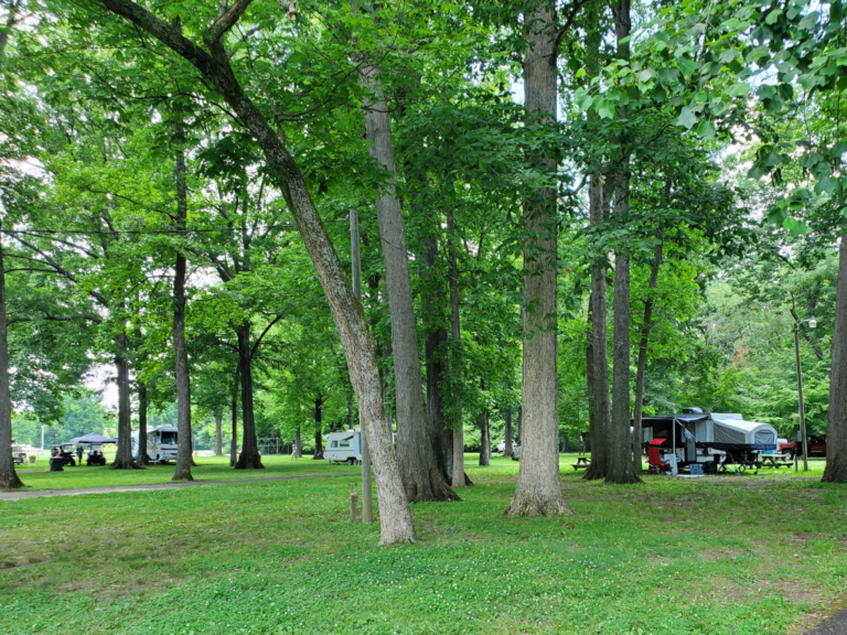 Beech Bend Campground | Beech Bend Park | Bowling Green, KY